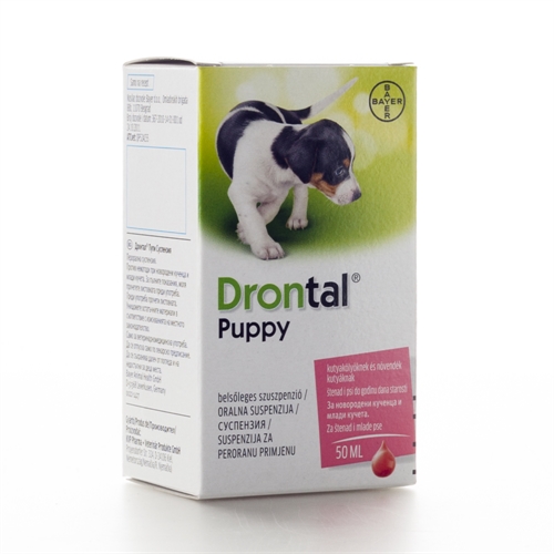 Drontal Puppy