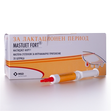 Мастиджет Форт Мастиджет Форт