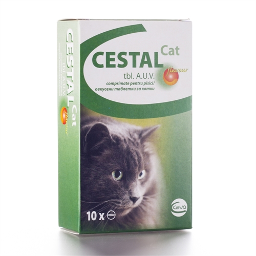 Cestal Cat flavour