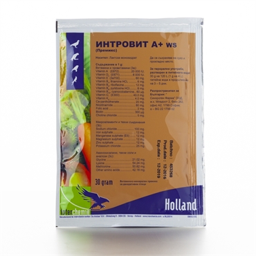 Интровит А + ws Интровит А + ws